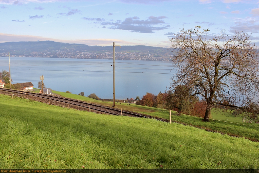 Zürichsee