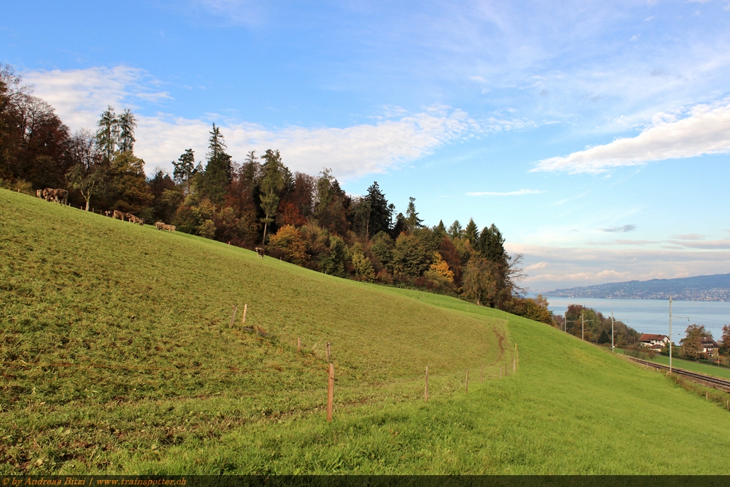 Zürichsee